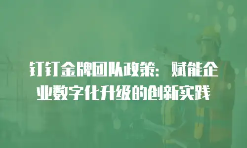 钉钉金牌团队政策：赋能企业数字化升级的创新实践