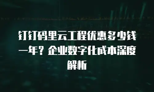 钉钉码里云工程优惠多少钱一年？企业数字化成本深度解析