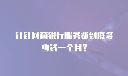 钉钉网商银行服务费到底多少钱一个月？