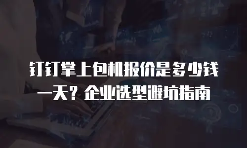 钉钉掌上包机报价是多少钱一天？企业选型避坑指南