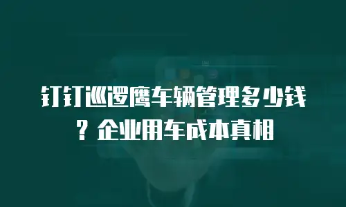 钉钉巡逻鹰车辆管理多少钱？企业用车成本真相