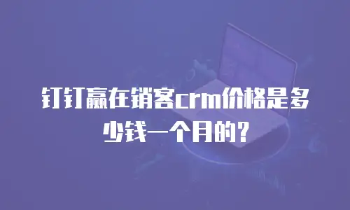 钉钉赢在销客crm价格是多少钱一个月的？