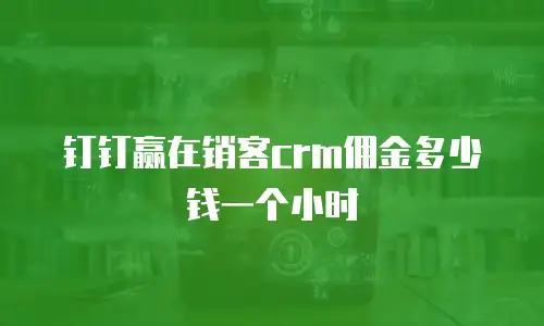 钉钉赢在销客crm佣金多少钱一个小时