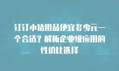 钉钉小猪用品便宜多少元一个合适？解析企业级应用的性价比选择