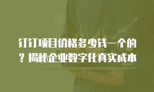 钉钉项目价格多少钱一个的？揭秘企业数字化真实成本