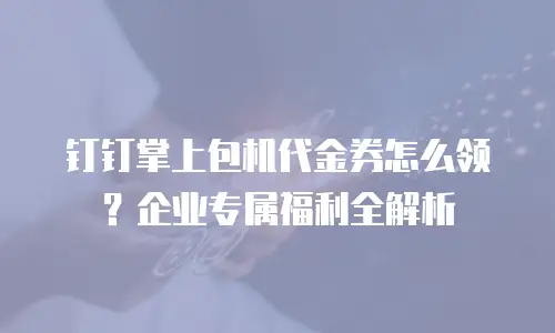 钉钉掌上包机代金券怎么领？企业专属福利全解析