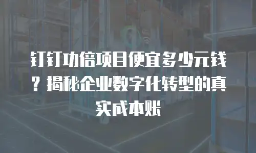 钉钉功倍项目便宜多少元钱？揭秘企业数字化转型的真实成本账
