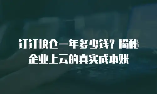 钉钉粮仓一年多少钱？揭秘企业上云的真实成本账