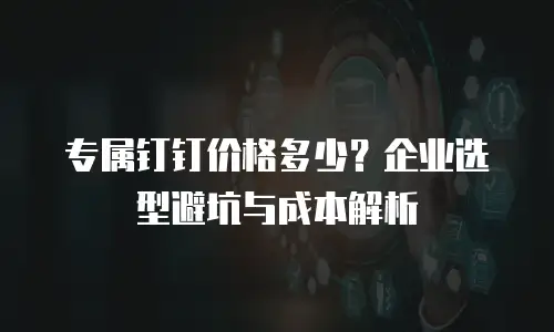 专属钉钉价格多少？企业选型避坑与成本解析