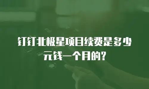 钉钉北极星项目续费是多少元钱一个月的？
