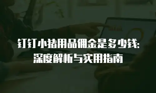 钉钉小猪用品佣金是多少钱：深度解析与实用指南
