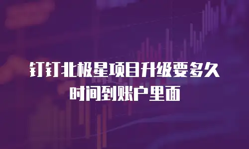 钉钉北极星项目升级要多久时间到账户里面