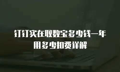 钉钉实在取数宝多少钱一年用多少扣费详解