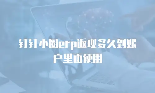 钉钉小圈erp返现多久到账户里面使用