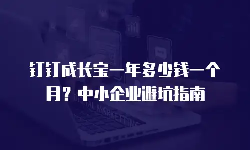 钉钉成长宝一年多少钱一个月？中小企业避坑指南