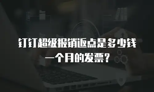 钉钉超级报销返点是多少钱一个月的发票？