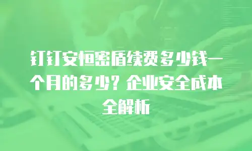 钉钉安恒密盾续费多少钱一个月的多少？企业安全成本全解析