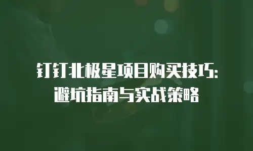 钉钉北极星项目购买技巧：避坑指南与实战策略