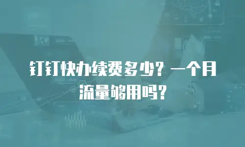 钉钉快办续费多少？一个月流量够用吗？