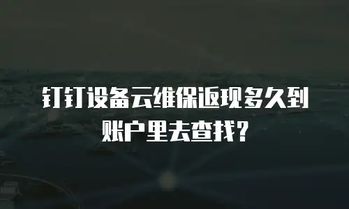 钉钉设备云维保返现多久到账户里去查找？