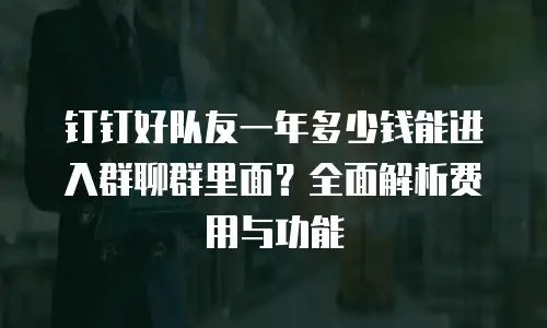 钉钉好队友一年多少钱能进入群聊群里面？全面解析费用与功能