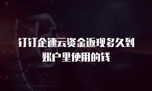 钉钉企速云资金返现多久到账户里使用的钱