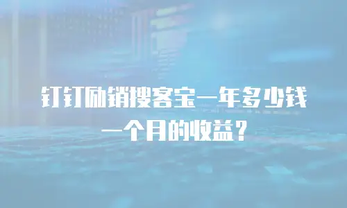 钉钉励销搜客宝一年多少钱一个月的收益？