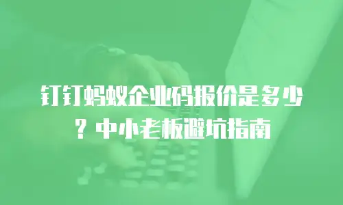 钉钉蚂蚁企业码报价是多少？中小老板避坑指南