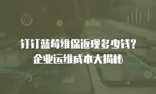 钉钉蓝莓维保返现多少钱？企业运维成本大揭秘
