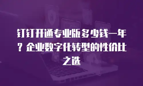 钉钉开通专业版多少钱一年？企业数字化转型的性价比之选