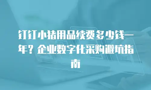 钉钉小猪用品续费多少钱一年？企业数字化采购避坑指南
