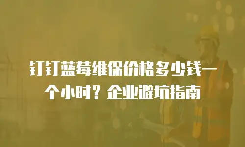 钉钉蓝莓维保价格多少钱一个小时？企业避坑指南
