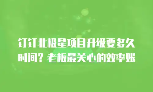 钉钉北极星项目升级要多久时间？老板最关心的效率账