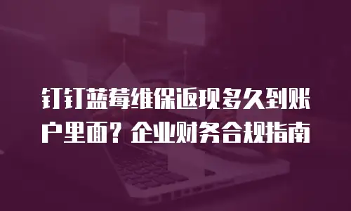 钉钉蓝莓维保返现多久到账户里面？企业财务合规指南