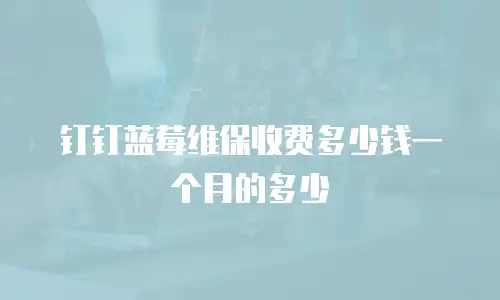 钉钉蓝莓维保收费多少钱一个月的多少