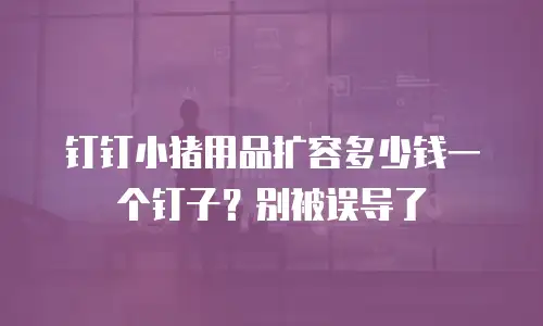 钉钉小猪用品扩容多少钱一个钉子？别被误导了