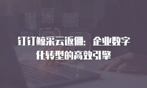 钉钉鲸采云返佣：企业数字化转型的高效引擎