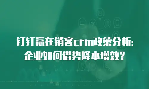 钉钉赢在销客crm政策分析：企业如何借势降本增效？