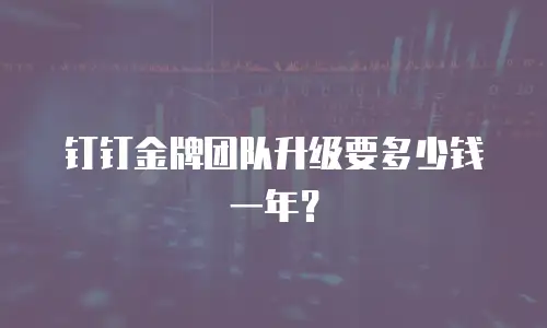 钉钉金牌团队升级要多少钱一年？