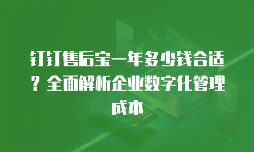 钉钉售后宝一年多少钱合适？全面解析企业数字化管理成本