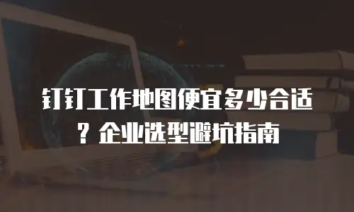钉钉工作地图便宜多少合适？企业选型避坑指南