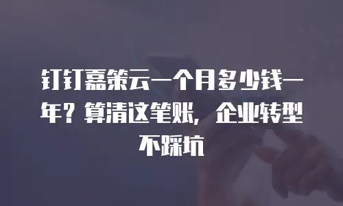 钉钉嘉策云一个月多少钱一年？算清这笔账，企业转型不踩坑