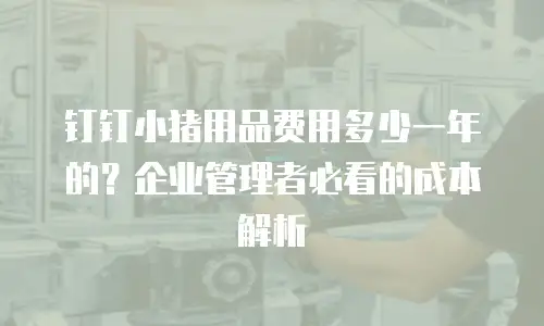 钉钉小猪用品费用多少一年的？企业管理者必看的成本解析