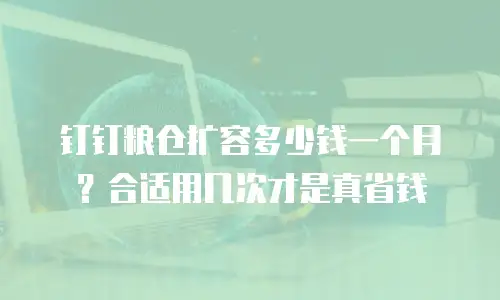 钉钉粮仓扩容多少钱一个月？合适用几次才是真省钱