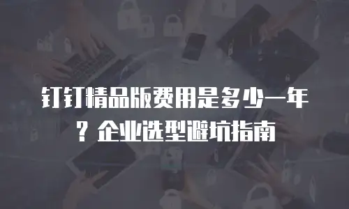 钉钉精品版费用是多少一年？企业选型避坑指南