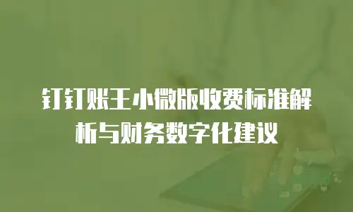 钉钉账王小微版收费标准解析与财务数字化建议
