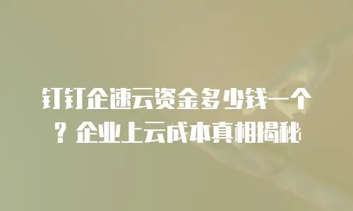 钉钉企速云资金多少钱一个？企业上云成本真相揭秘