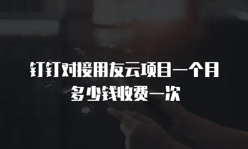 钉钉对接用友云项目一个月多少钱收费一次