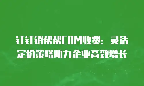 钉钉销帮帮CRM收费：灵活定价策略助力企业高效增长