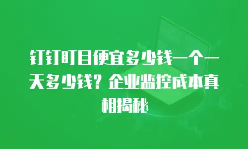 钉钉盯目便宜多少钱一个一天多少钱？企业监控成本真相揭秘